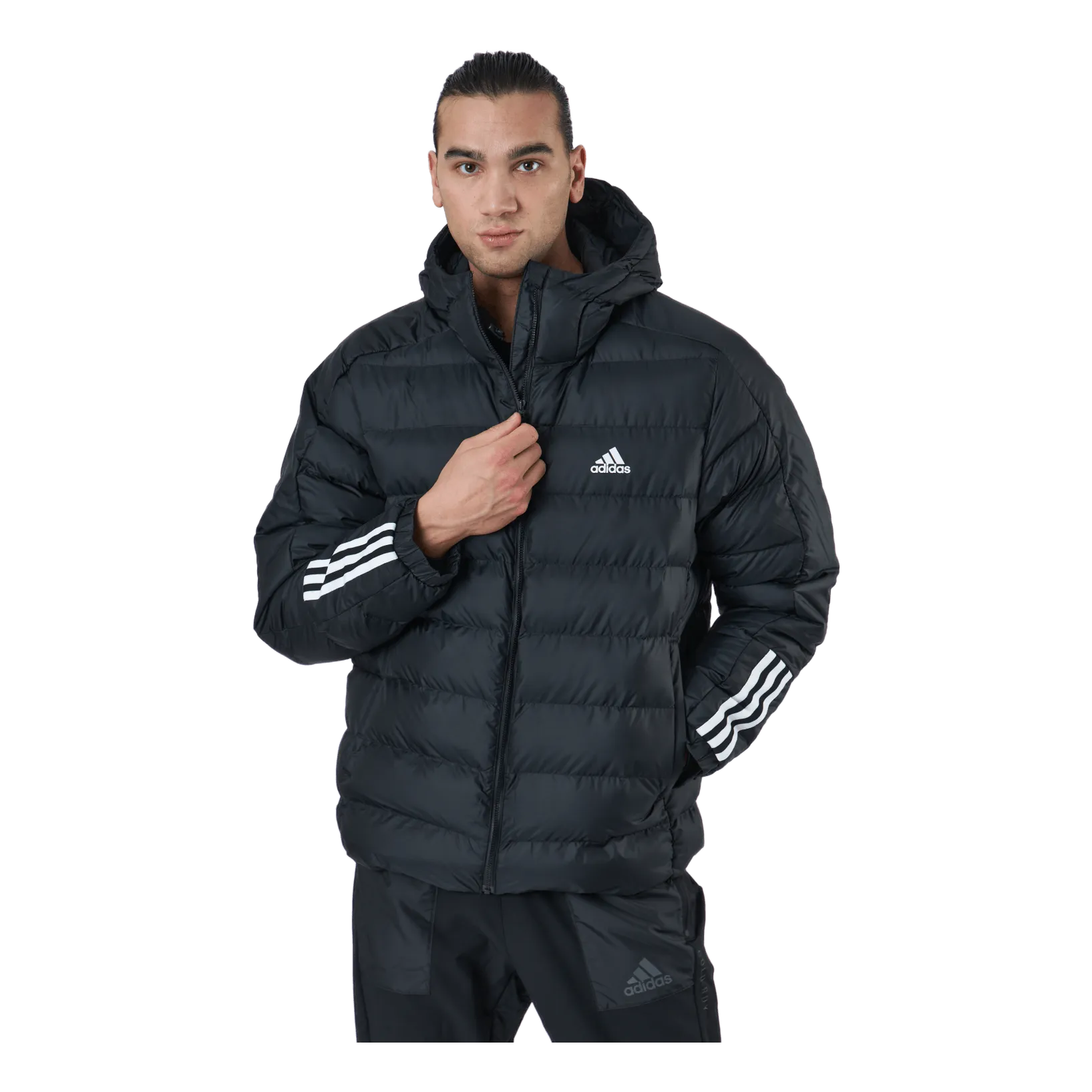 Adidas Itavic M H Jkt Black