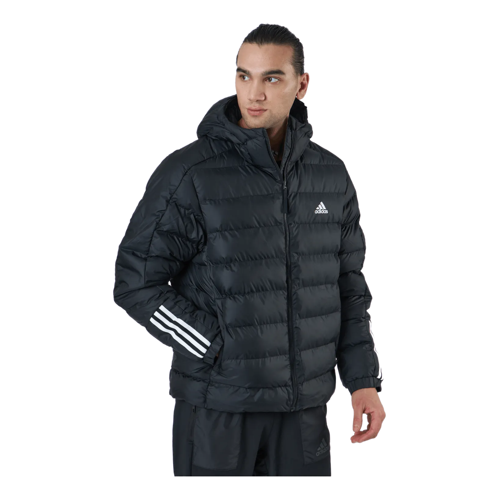 Adidas Itavic M H Jkt Black