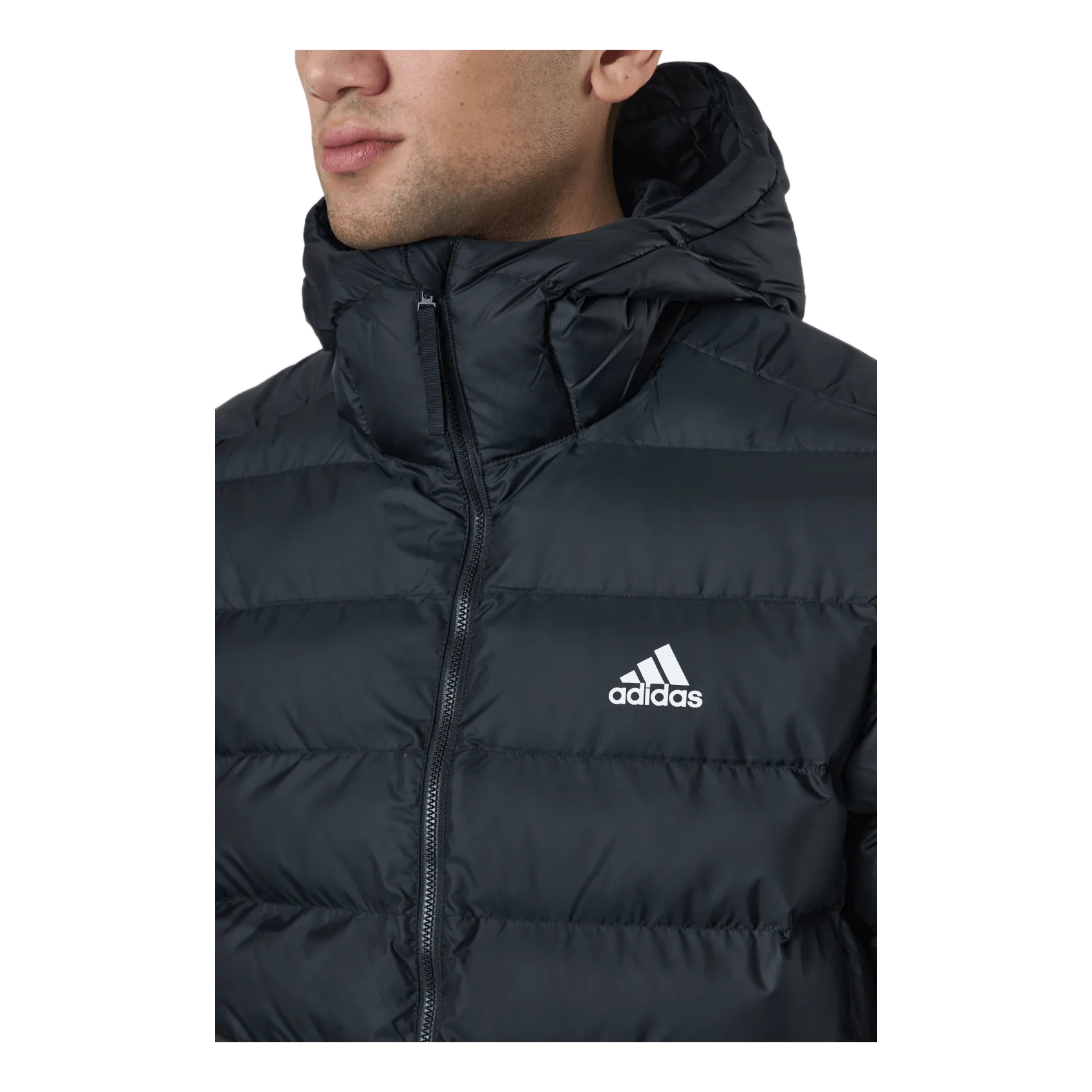 Adidas Itavic M H Jkt Black