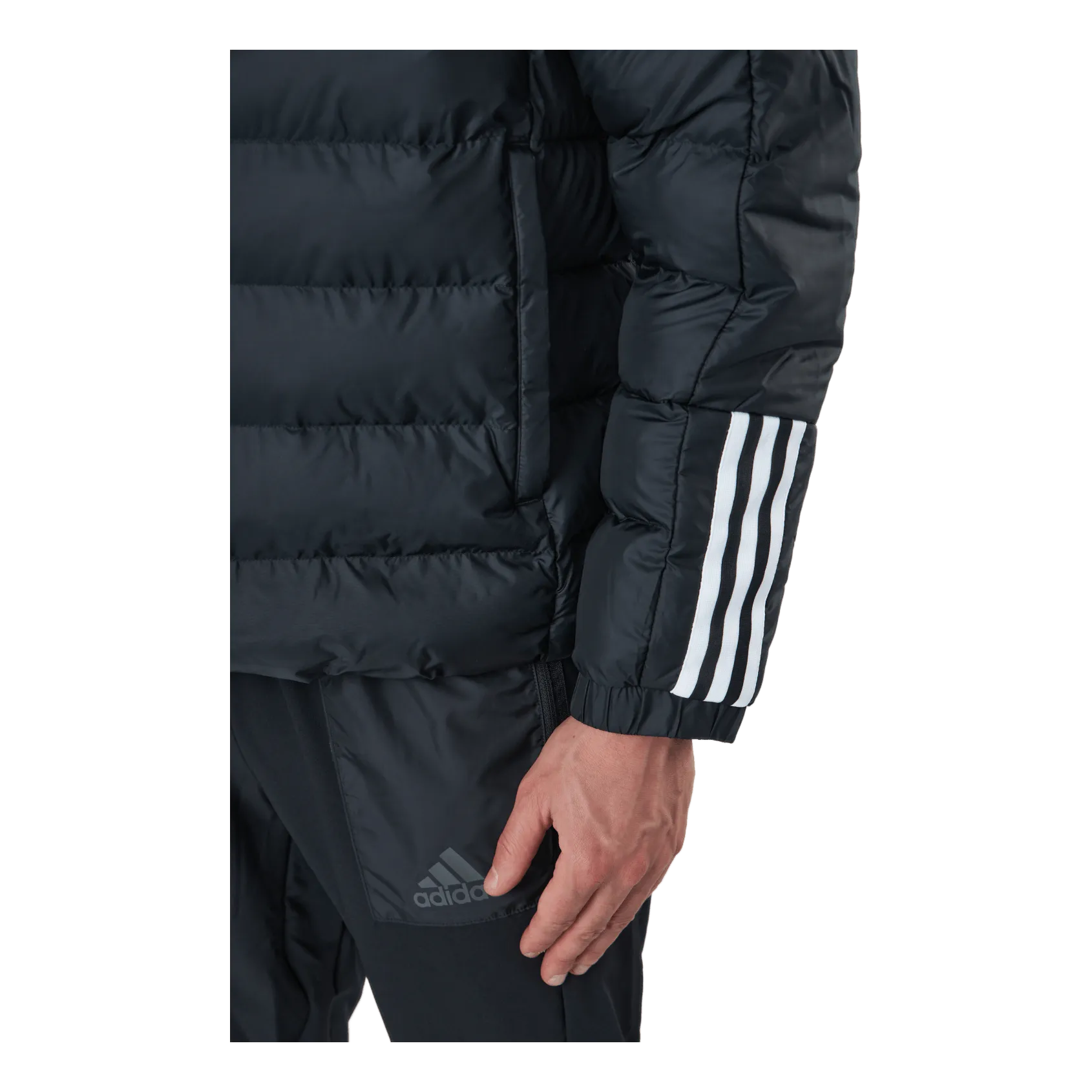 Adidas Itavic M H Jkt Black