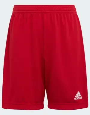 Adidas Pantalón corto Entrada 22