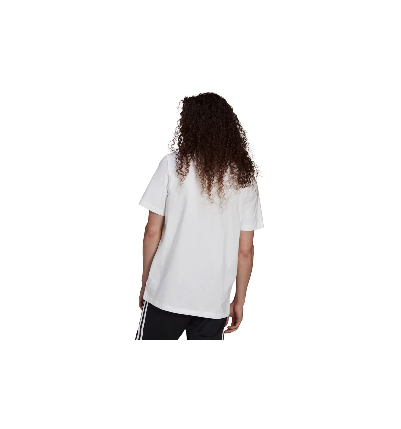 ADIDAS Q3 TREFOIL T SHIRT