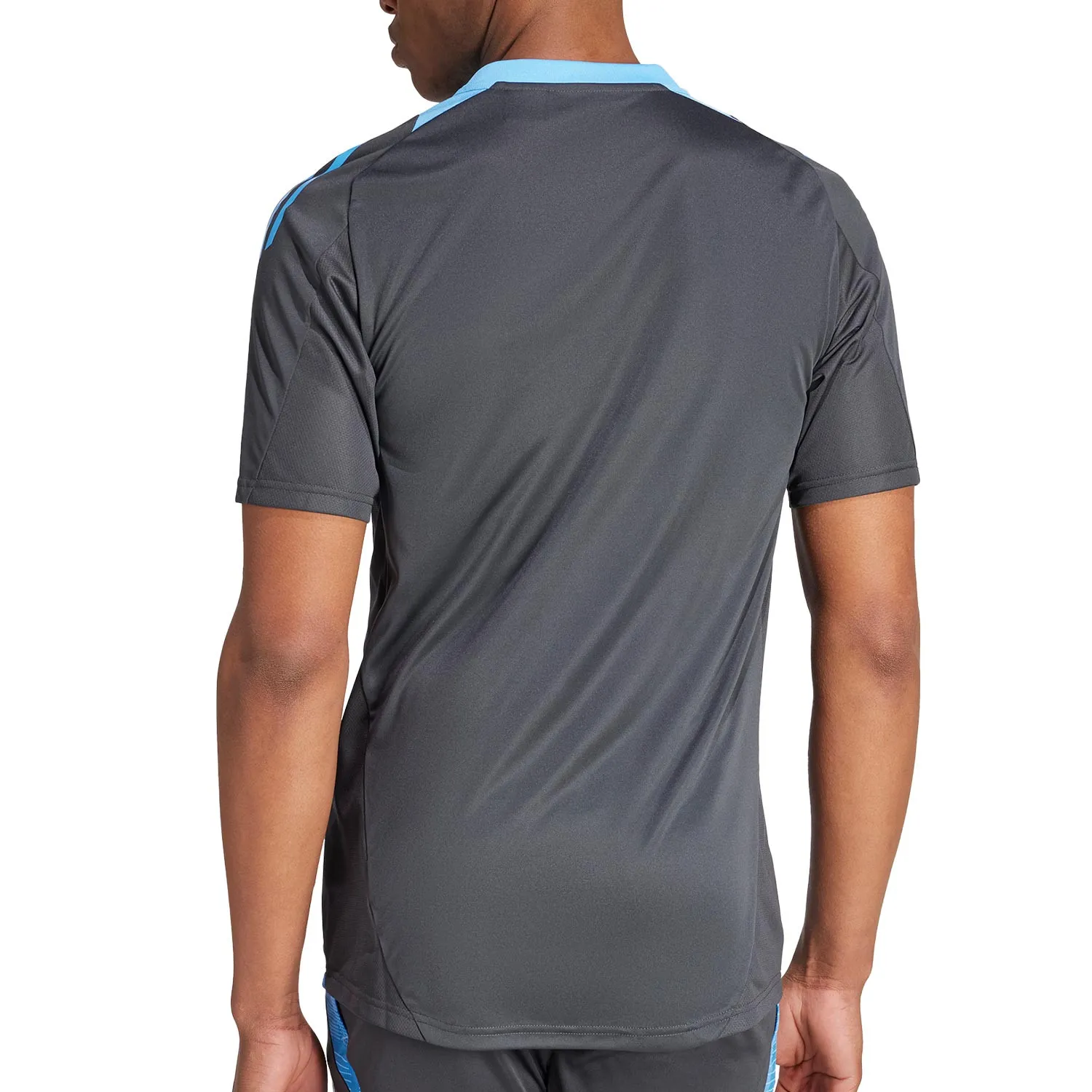 Camiseta adidas Argentina entrenamiento