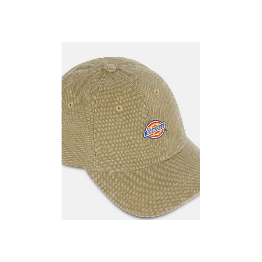 Gorra Dickies Hardwick Unisex