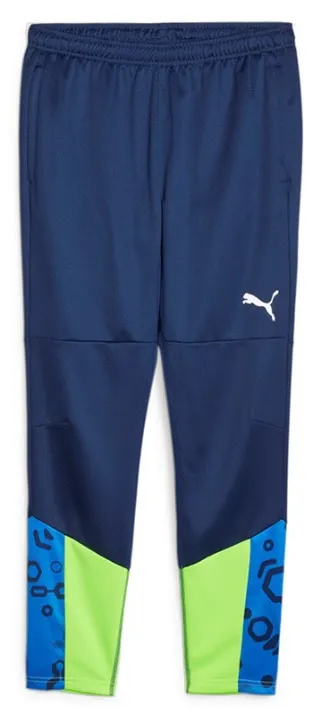 Pantalón Puma individualCUP Training Pants